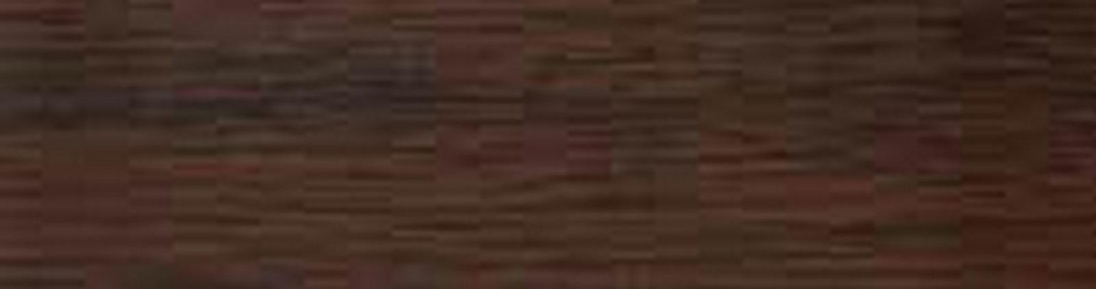 Profil dąb bagienny